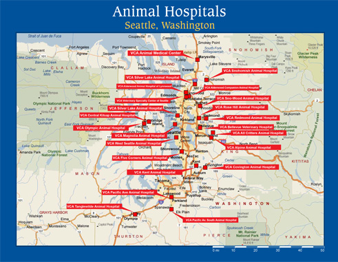 City Animal Hospital Location Map